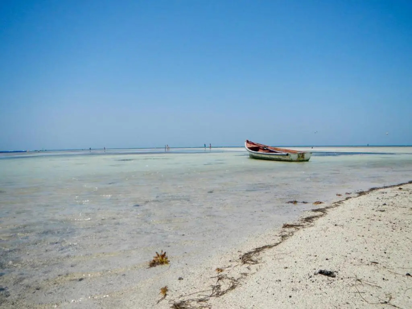 Studio Bwa Banbou dans Villa Fleurs des Iles