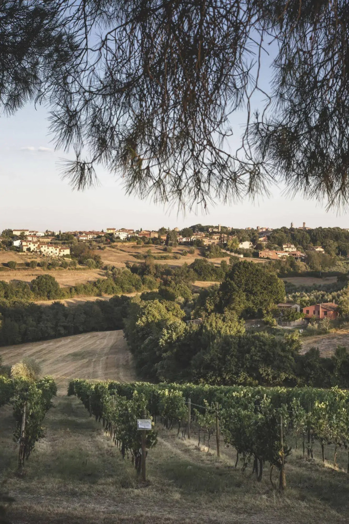 Country Resort Al Poggio dei Papi