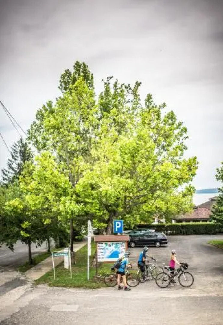 Fészek -Étel és Hotel-