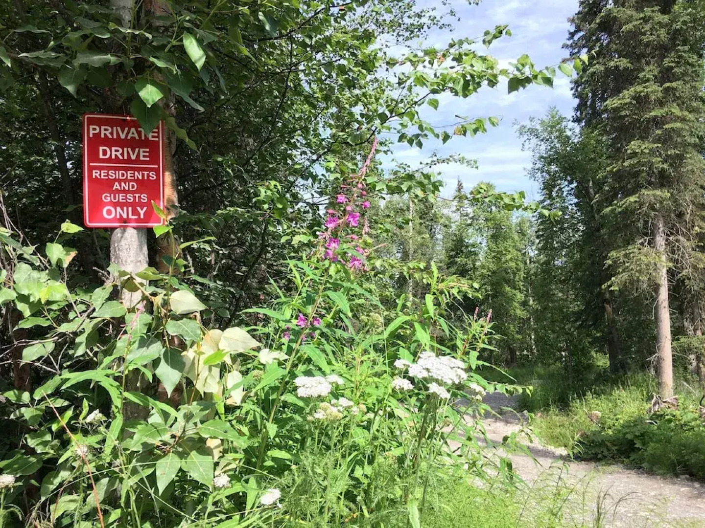Talkeetna Cabins on Montana Creek