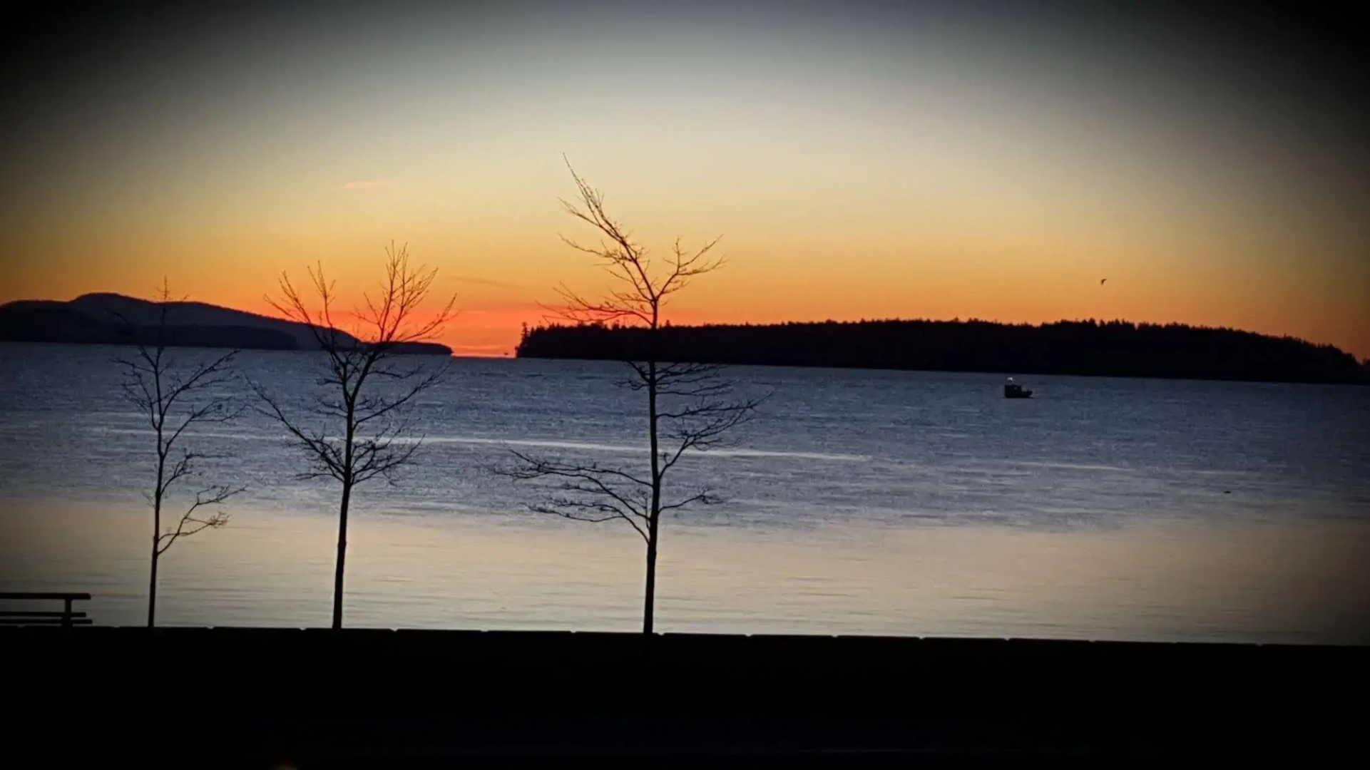 The Cedarwood Inn & Suites