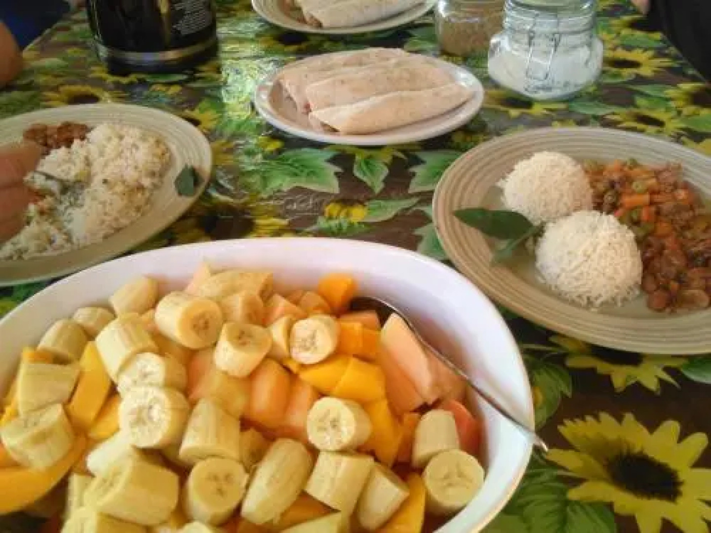 One World Costa Rica