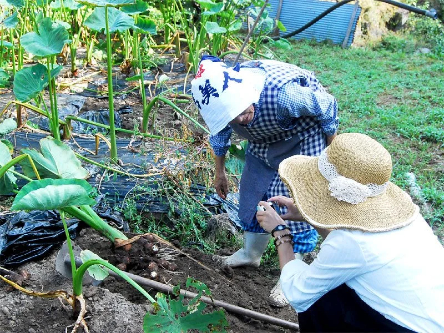 Ryokan Chiisana Oyado Tsuki no Hotaru