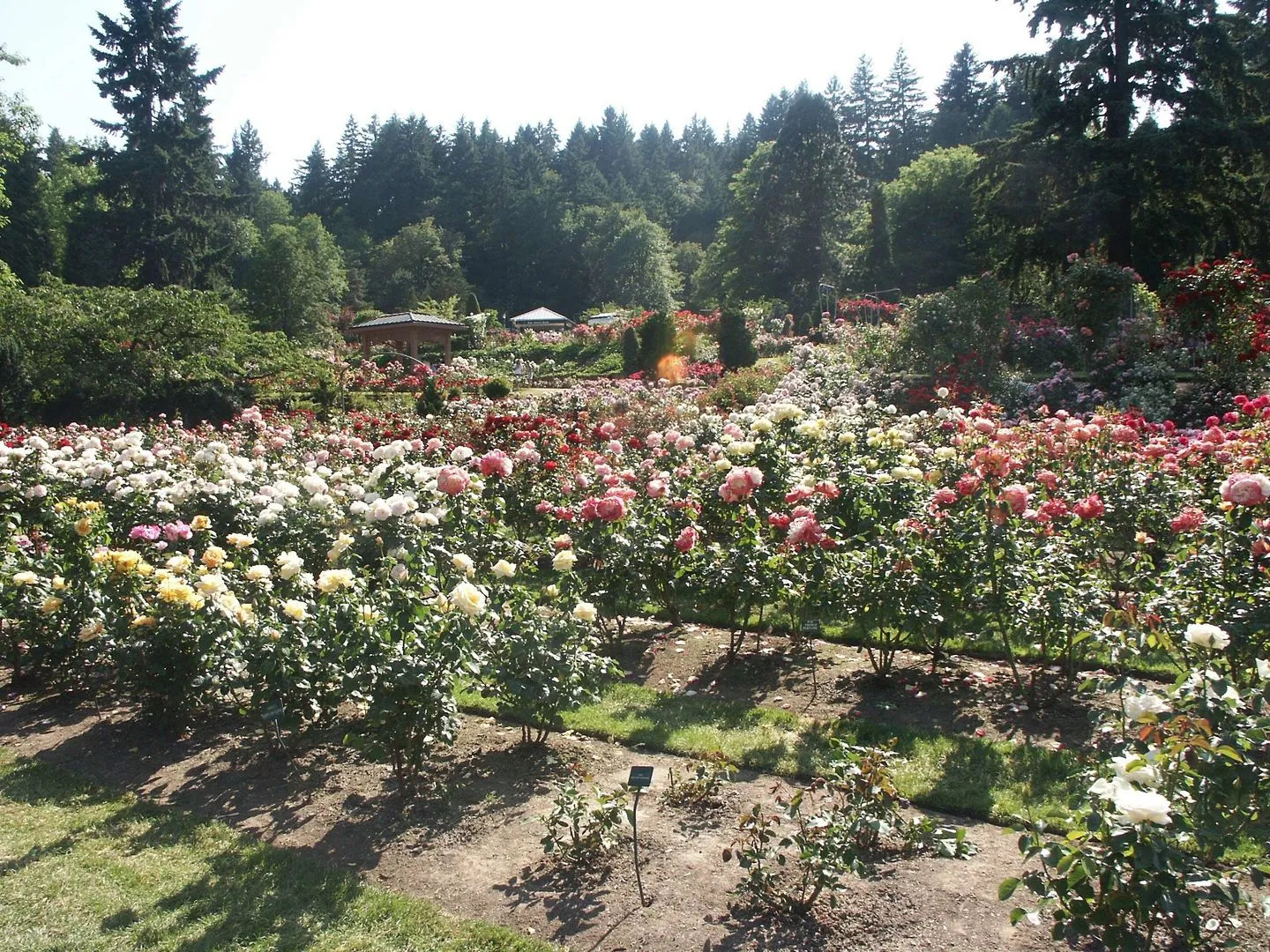 Hampton Inn Portland East