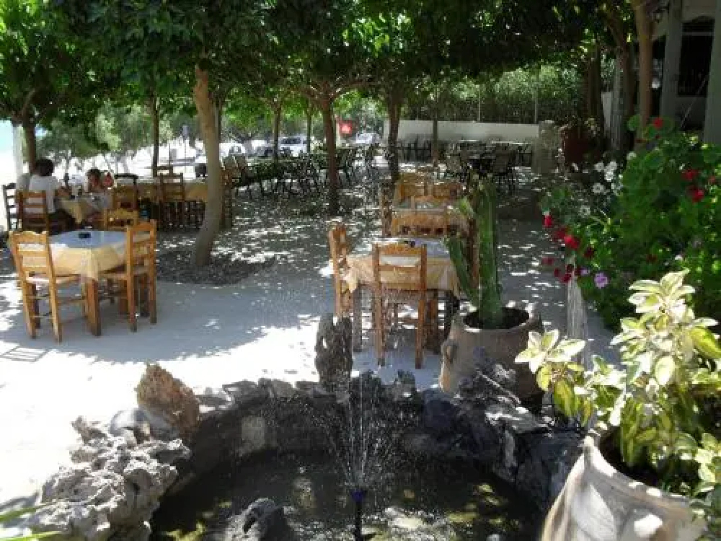 V&C Paradise Apartments