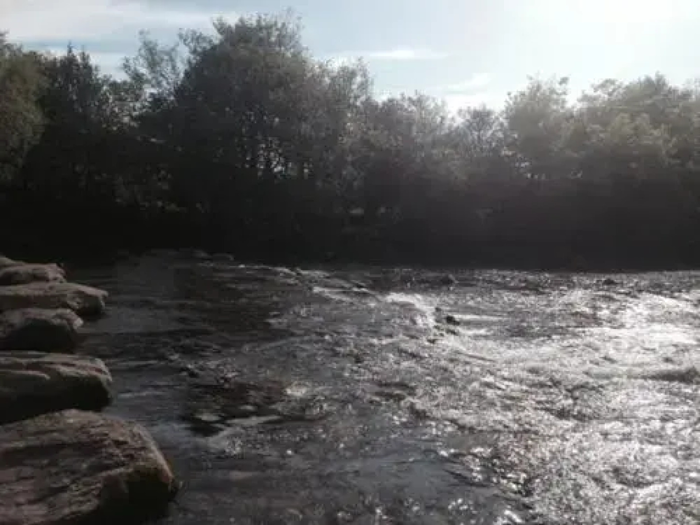 The Ford