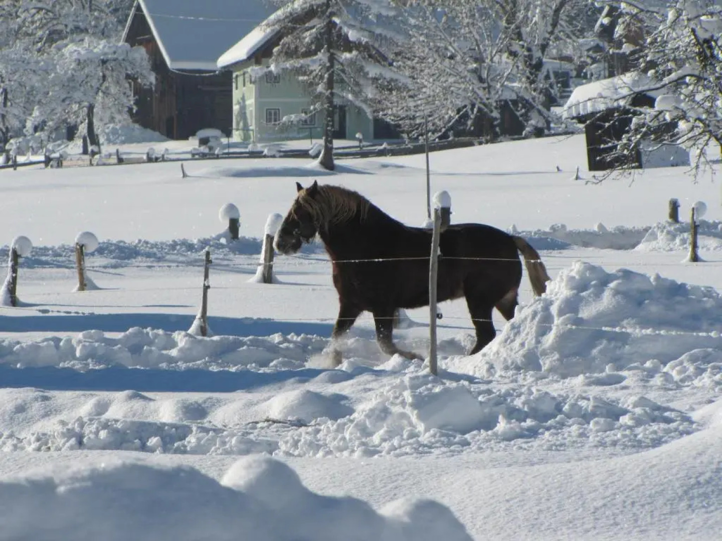 gosaukammcom appartements