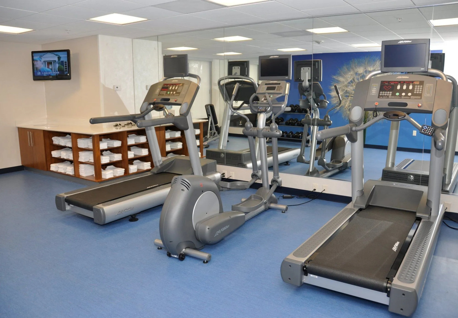 SpringHill Suites Cincinnati North/Forest Park