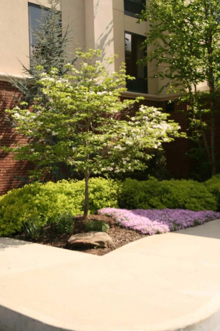 Hampton Inn & Suites Hazard