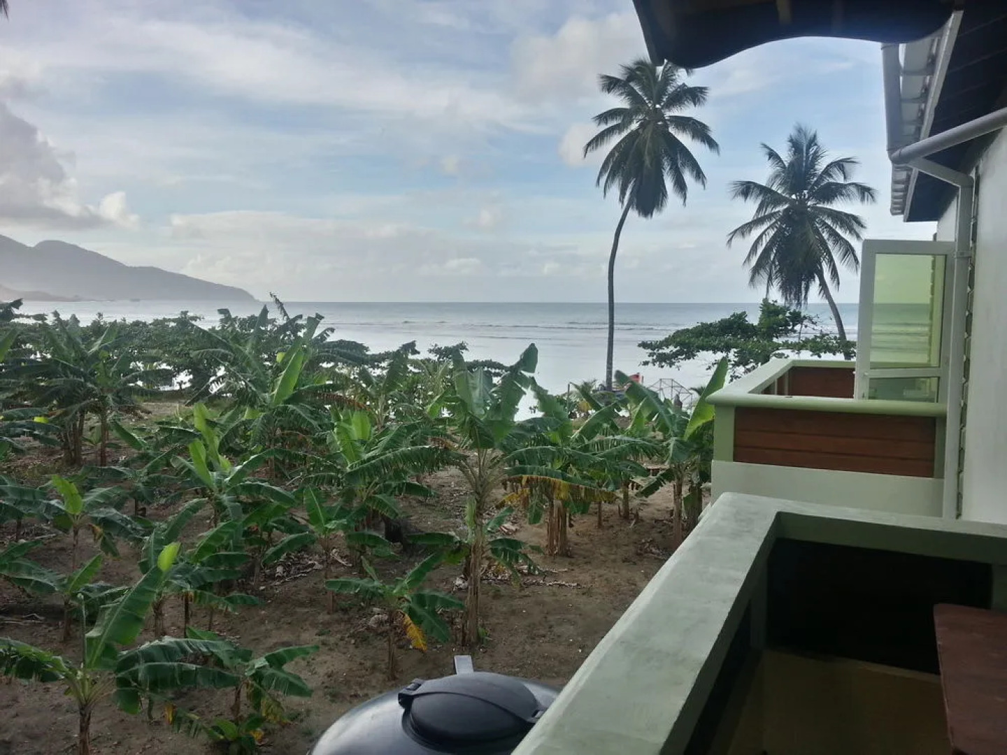 The Nixon's Bay Side Mangrove Inn