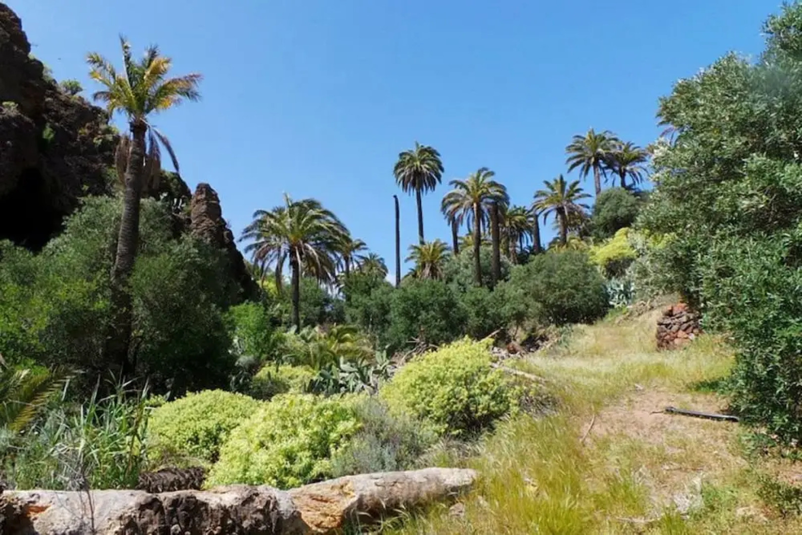 106067 - House in Santa Lucía de Tirajana