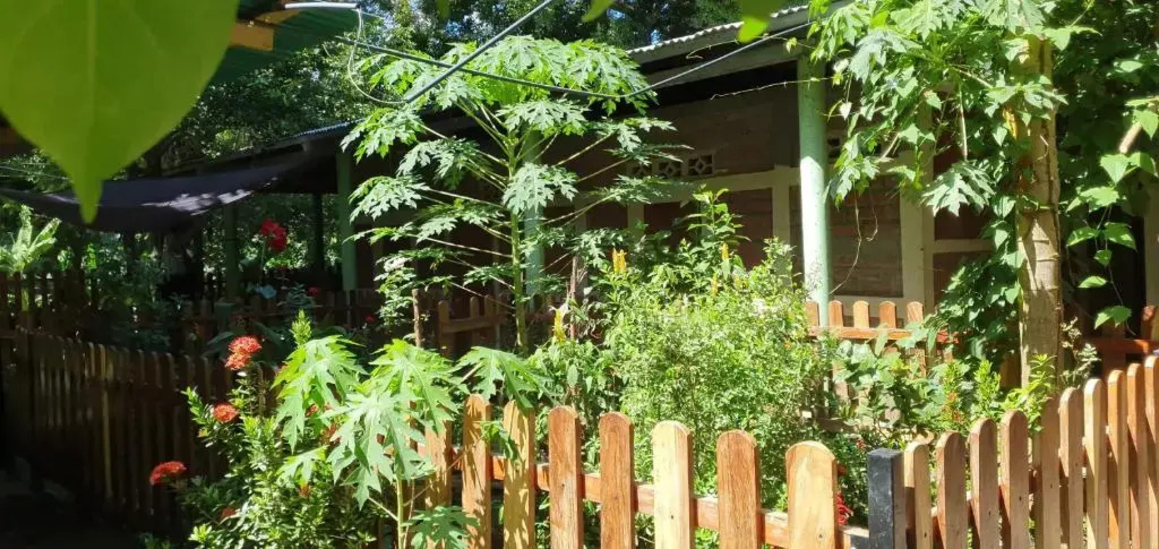 B&B, Hospedaje La Penita