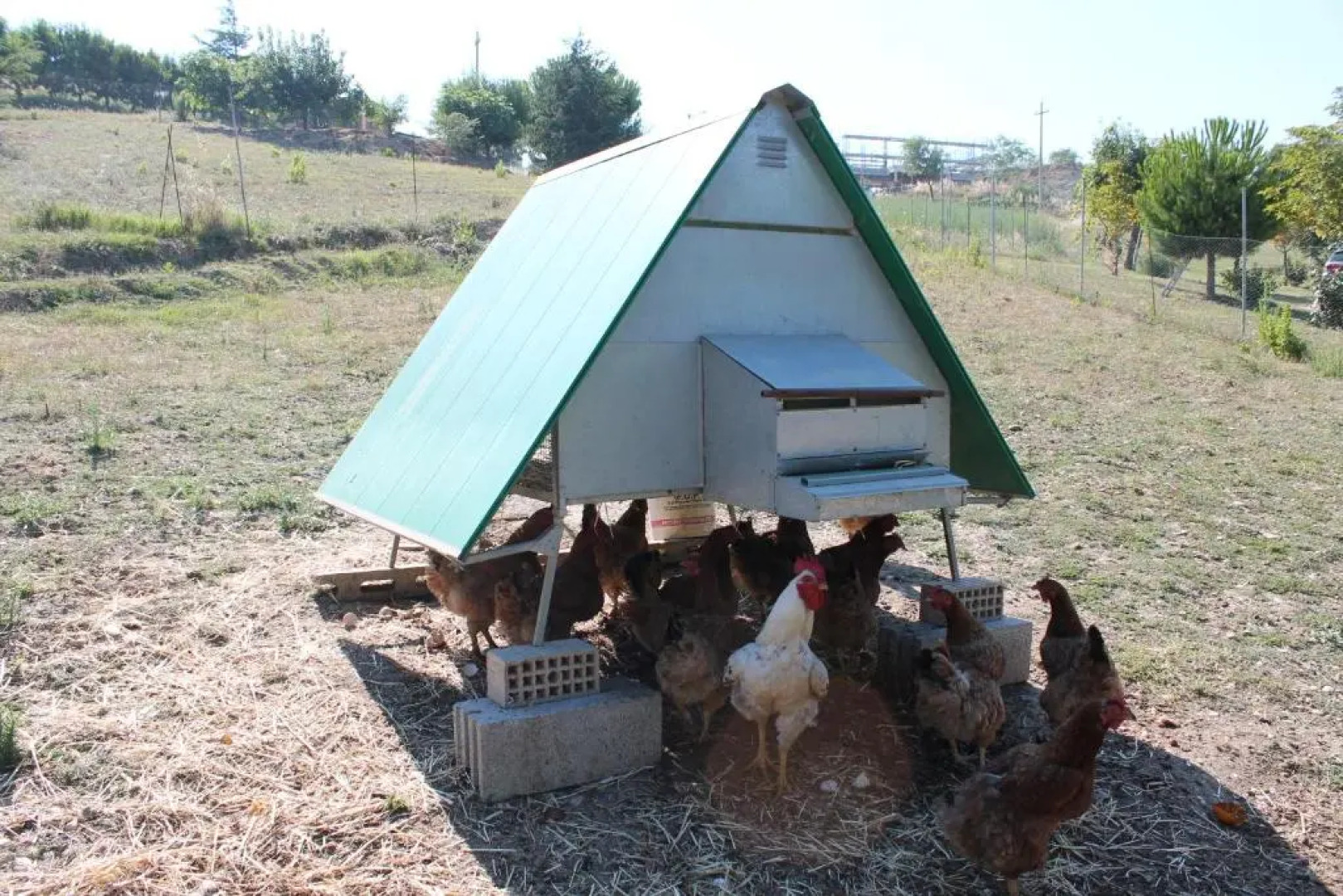 Bio Agriturismo Mare in Campagna