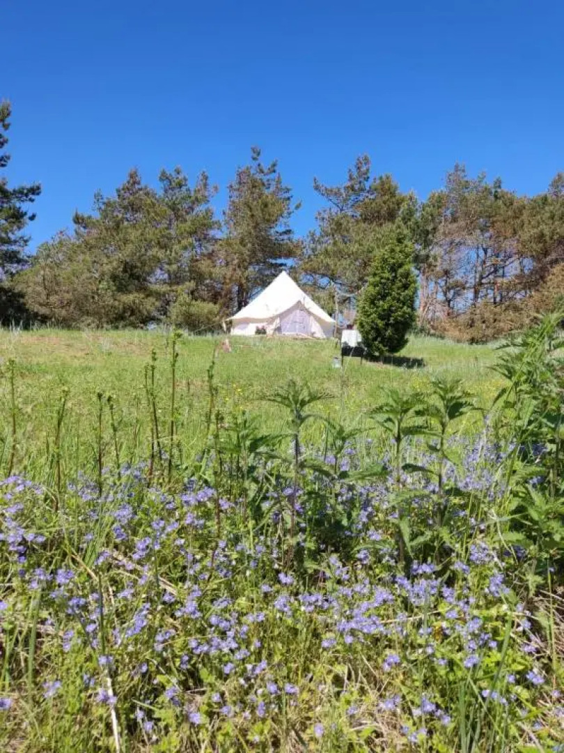 Glempinga telts SMILGA