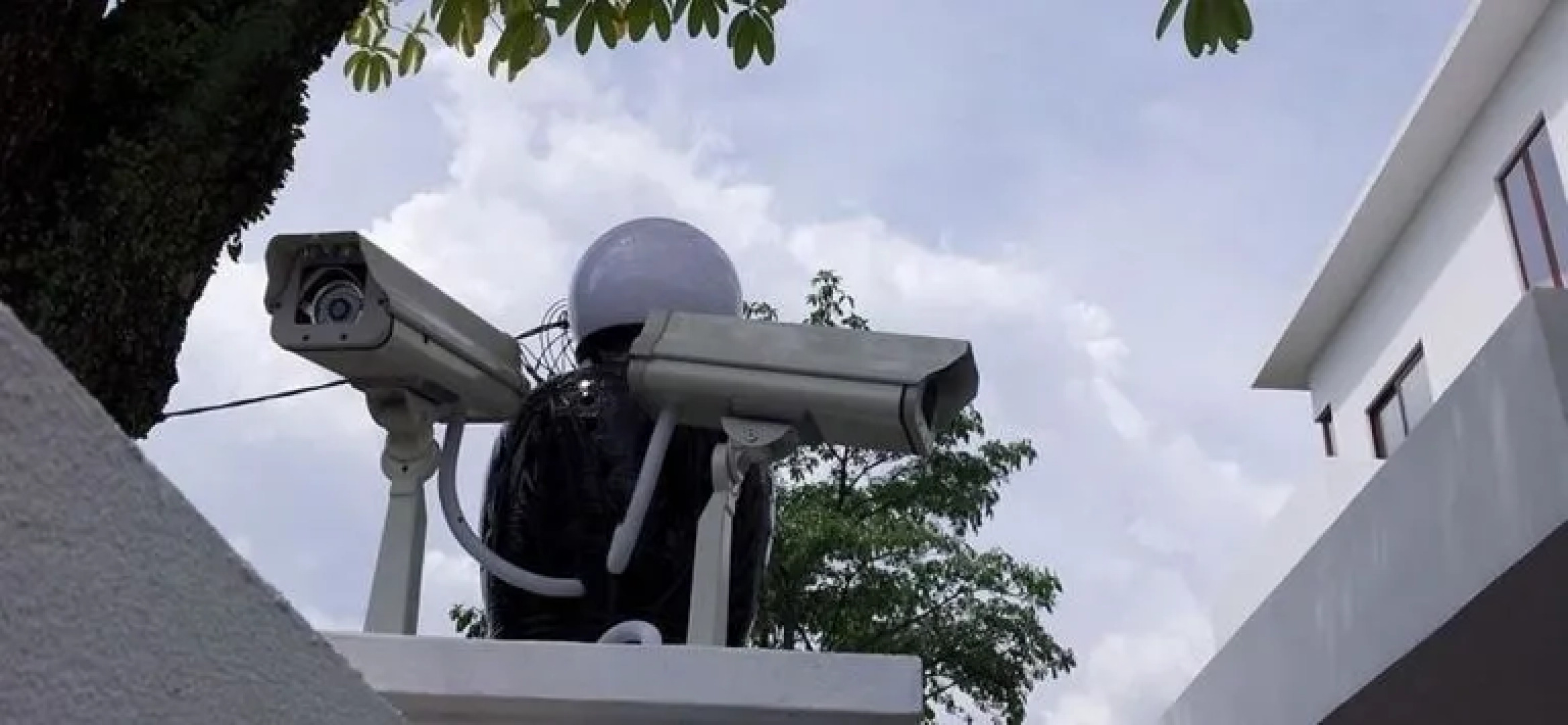 White House Homestay