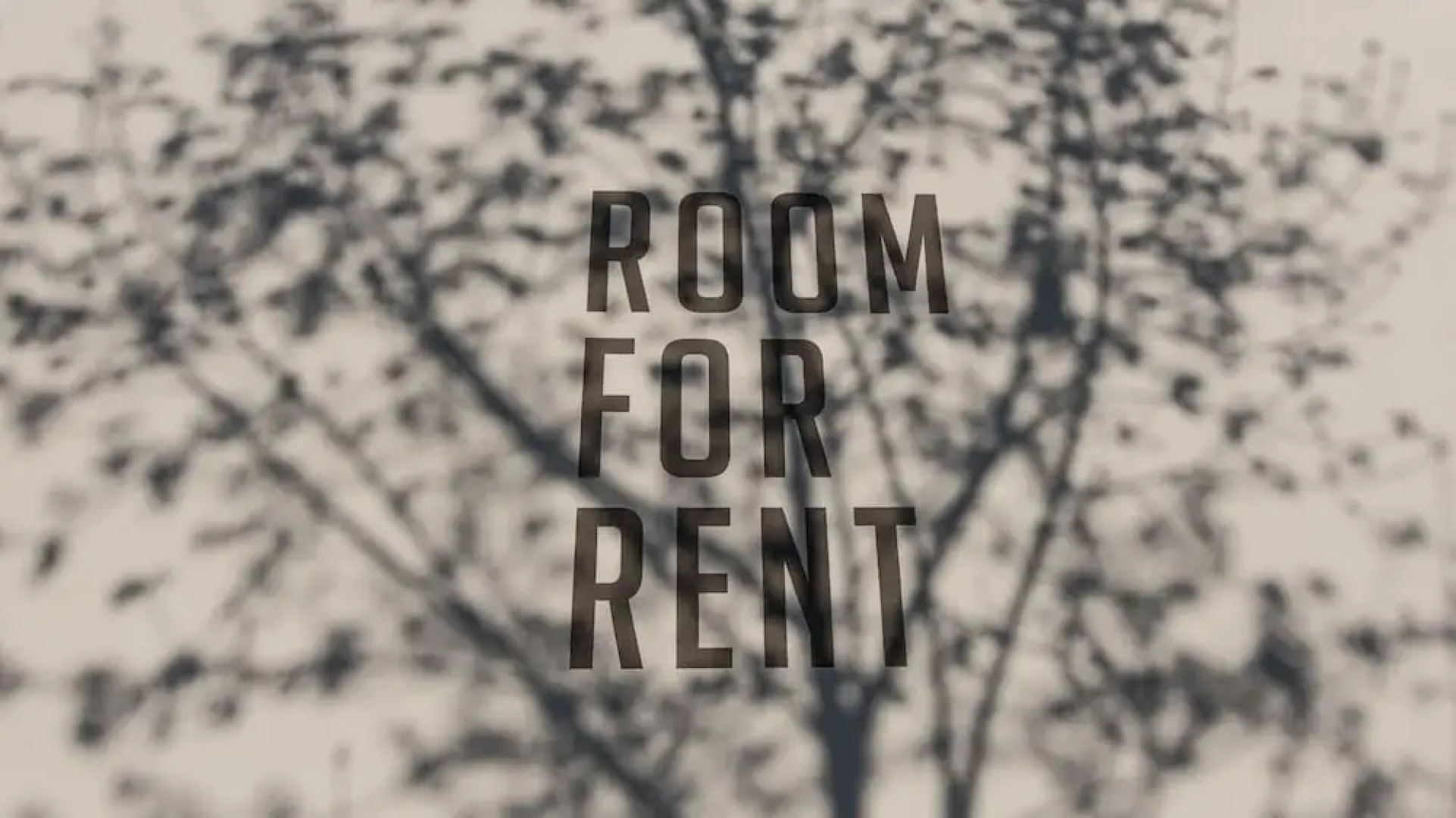 Room For Rent