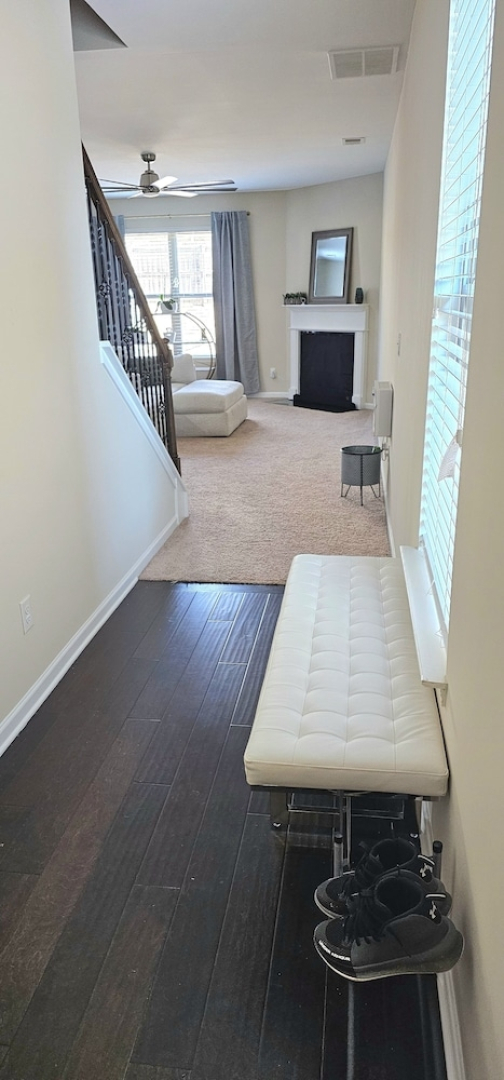 Elizabeth Experiences