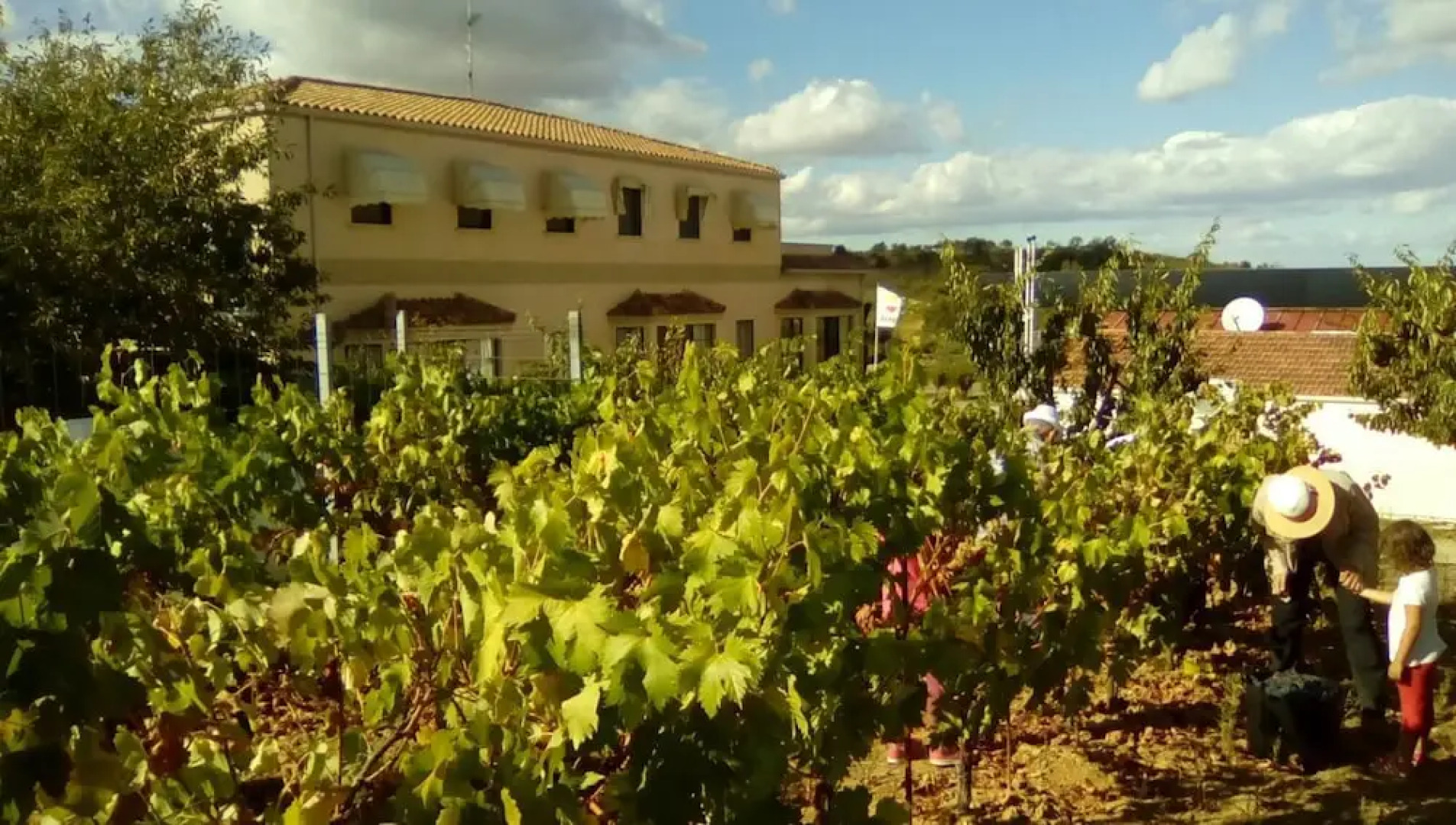 Hostal Restaurante Santa Cruz