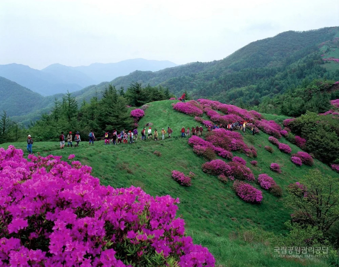 Hanok stay NAMWONYECHON by Kensington