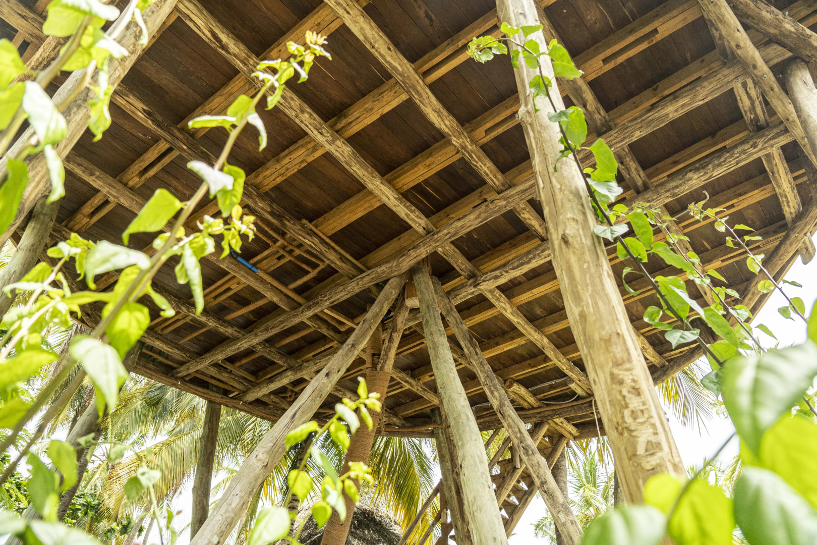 The Nest Boutique Resort