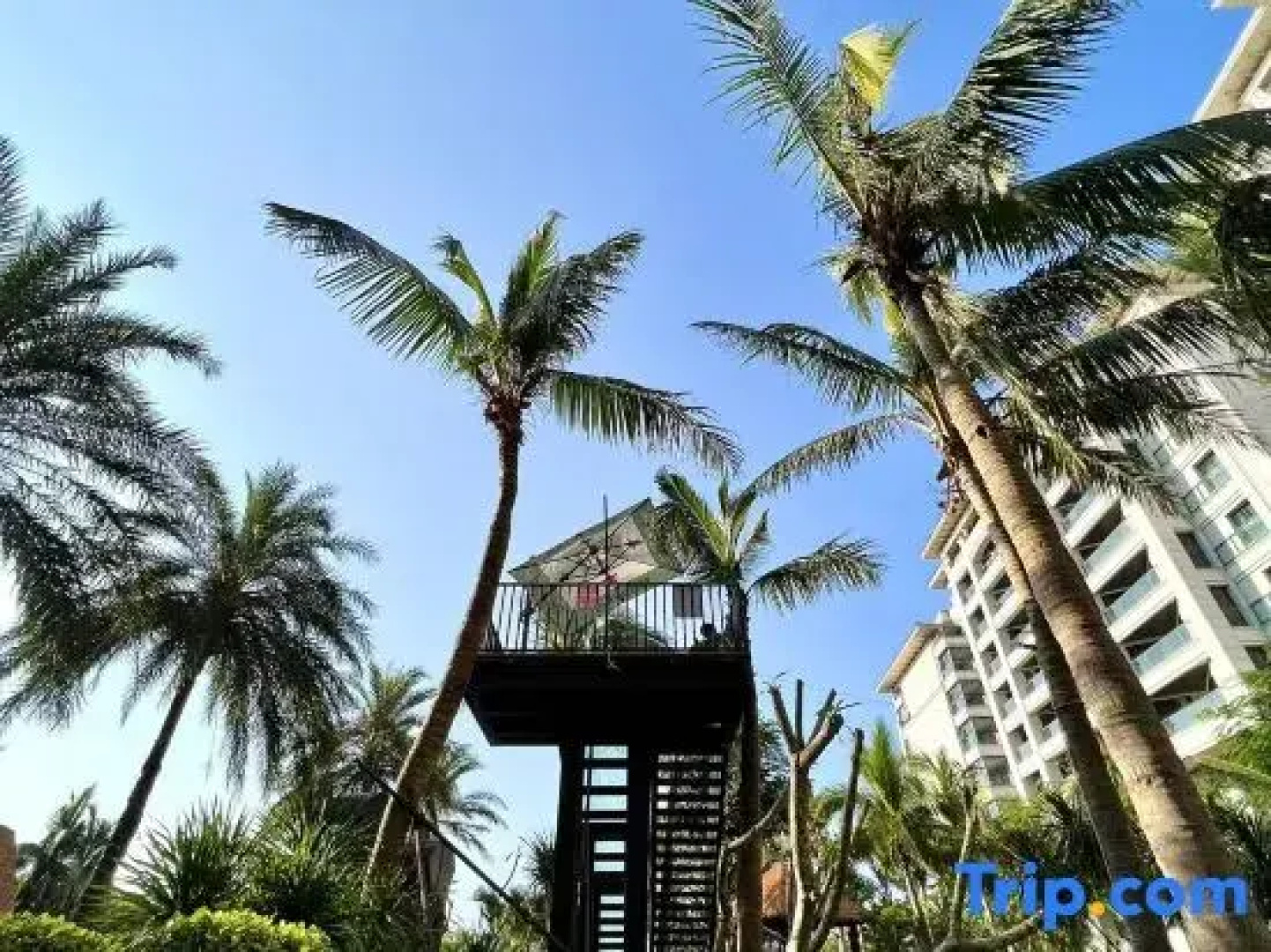 Jing Ting Sea View Hotel