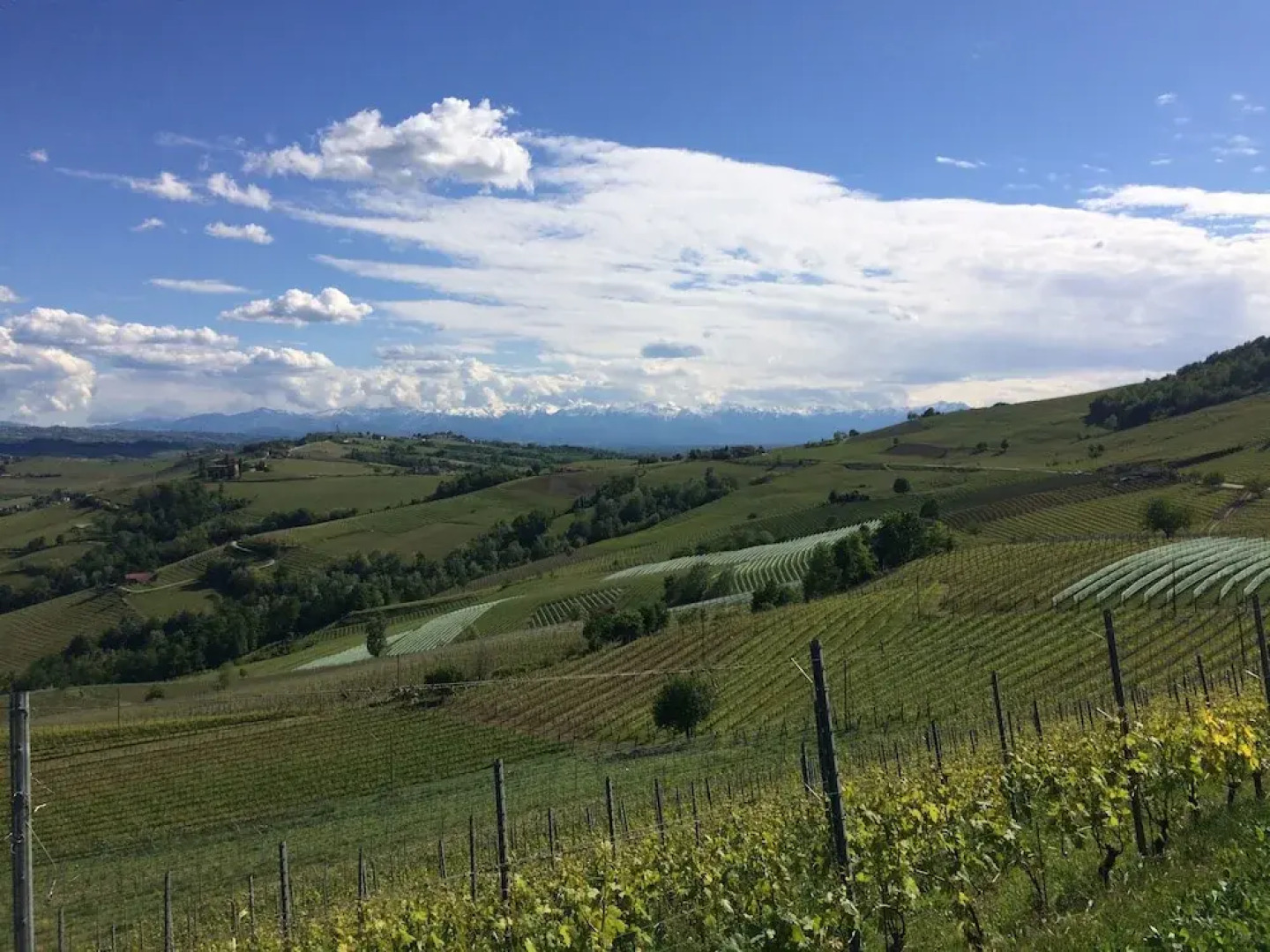 Cugi Bed and Breakfast