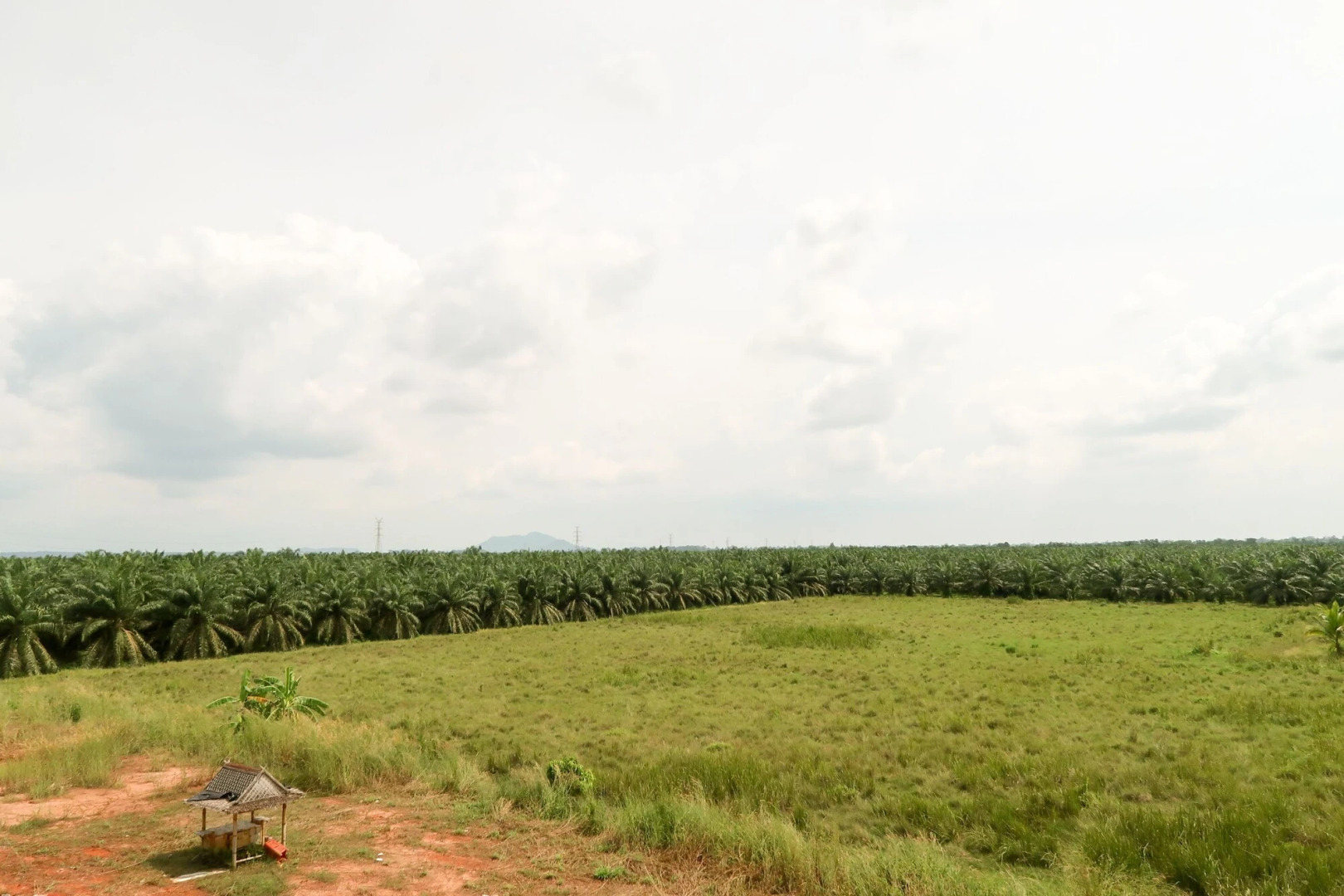 Baan URT Suratthani Airport Hotel