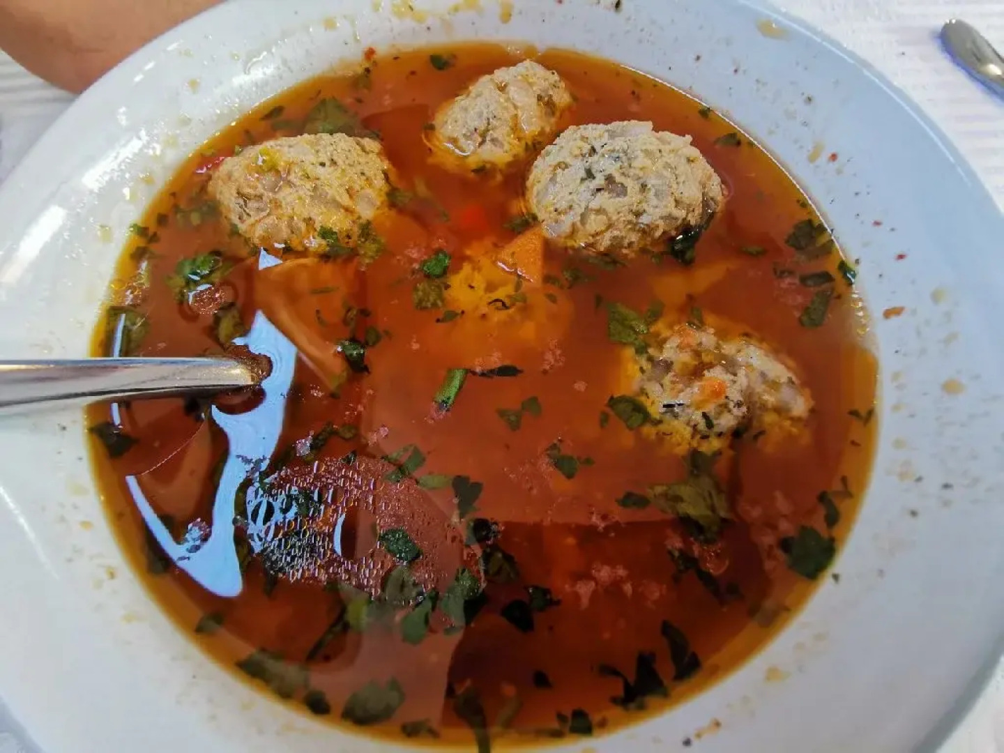 MS DIANA - Nava de croaziera pe Dunare