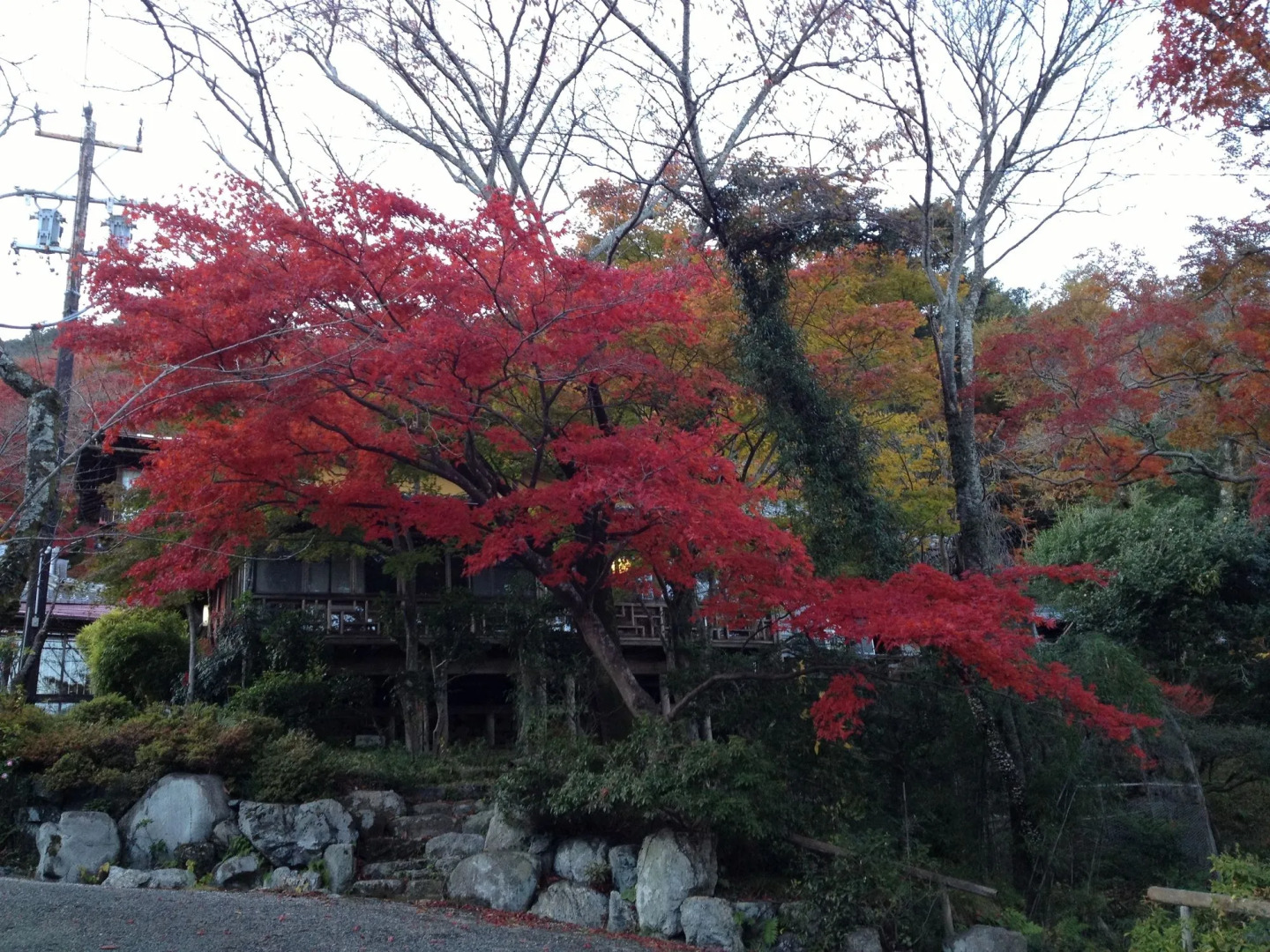 Cultural Property of Japan Senzairo