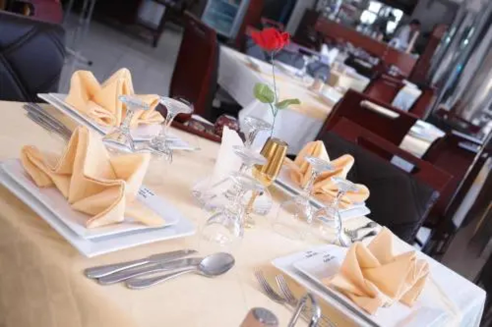 Plasma Hotel Tripoli