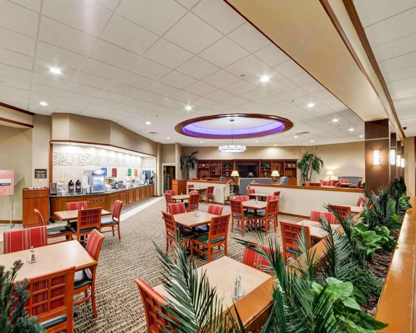 Comfort Inn and Suites Plano East