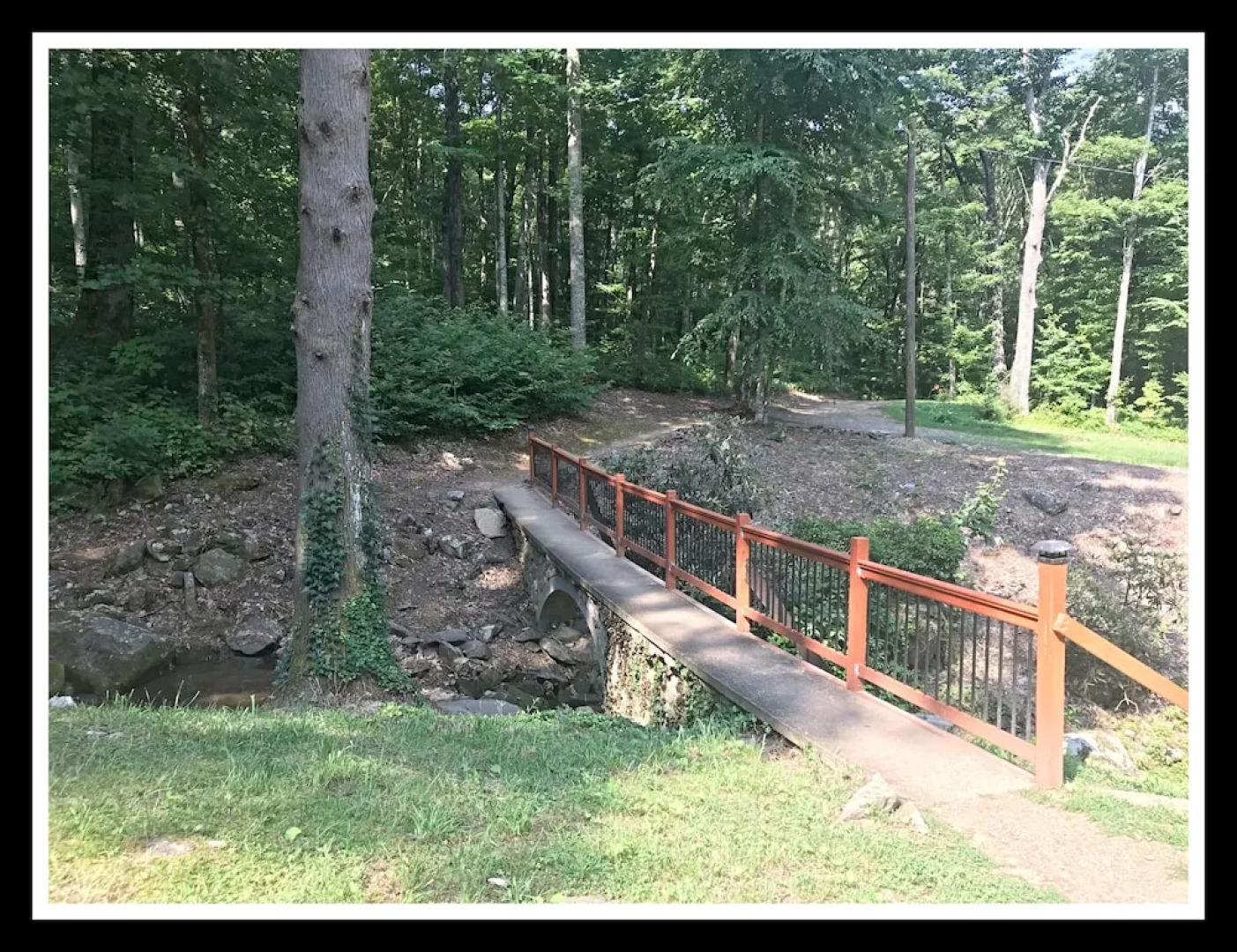 Logged Inn - 3 Br cabin by RedAwning