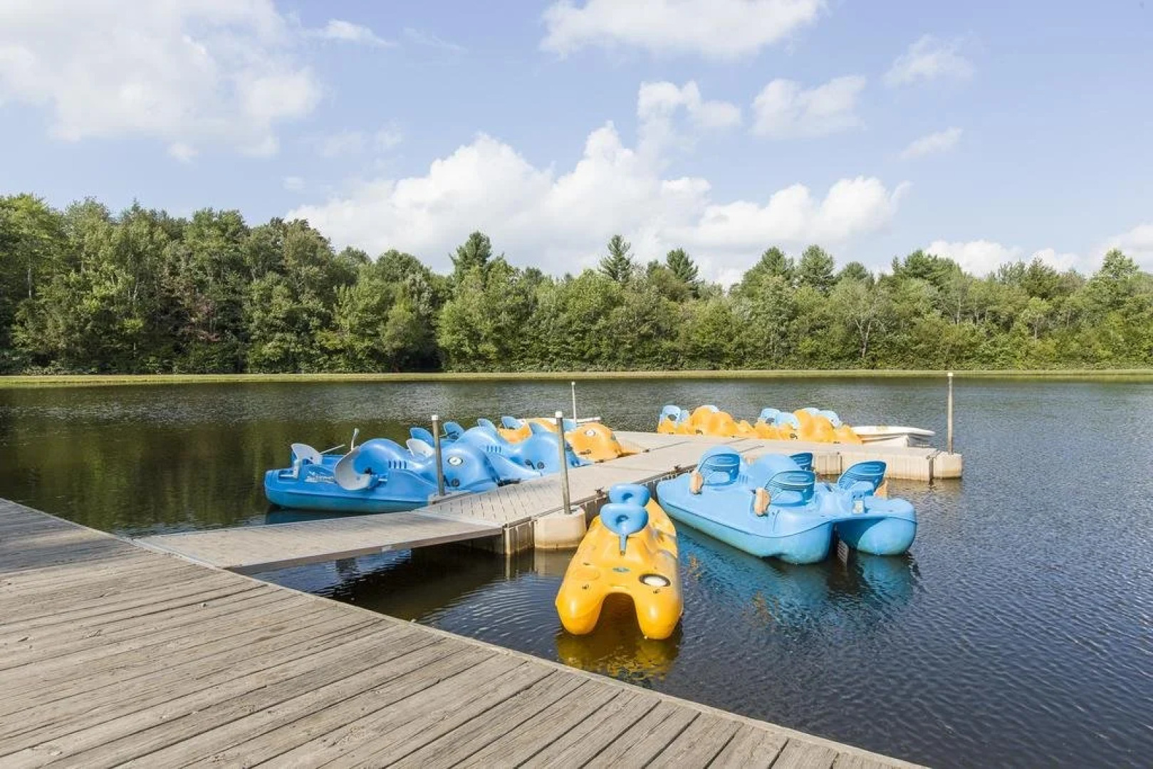 Jellystone Park™ at Birchwood Acres