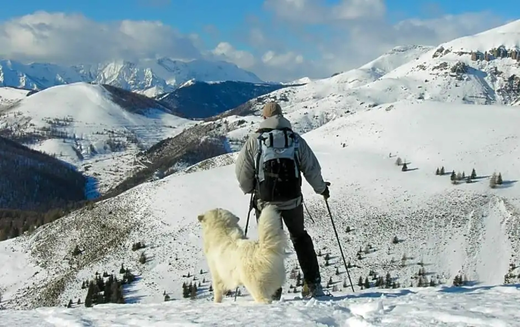 Chambres d'hôtes Le grand chalet