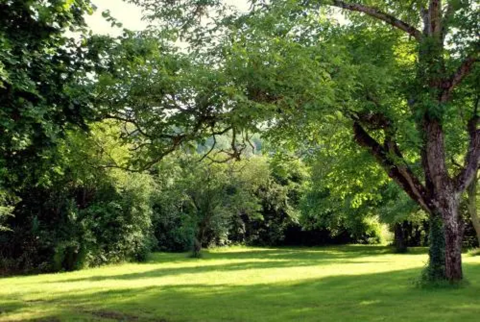 Domaine Les Bertrands