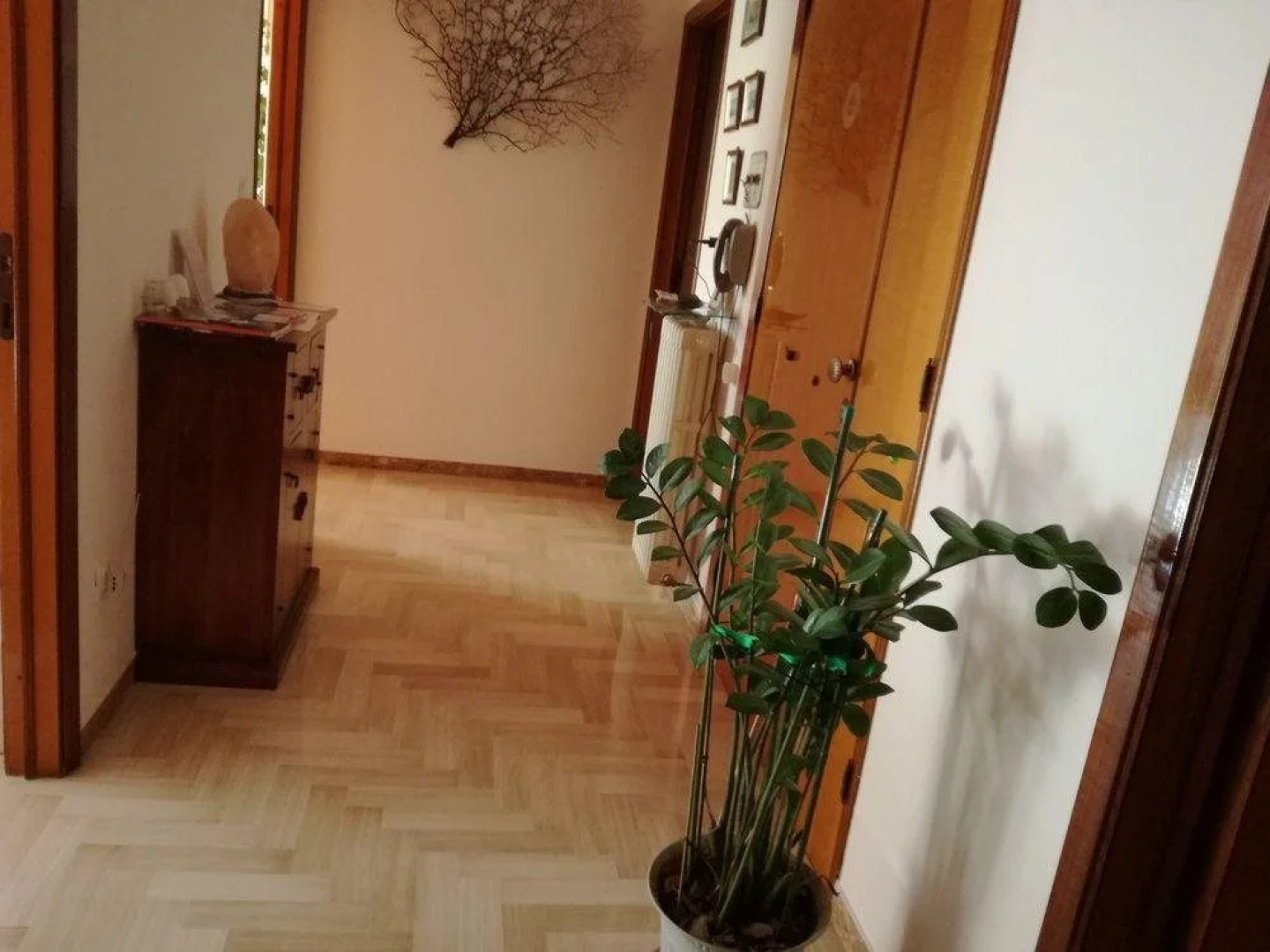 B&B Un angolo di pace