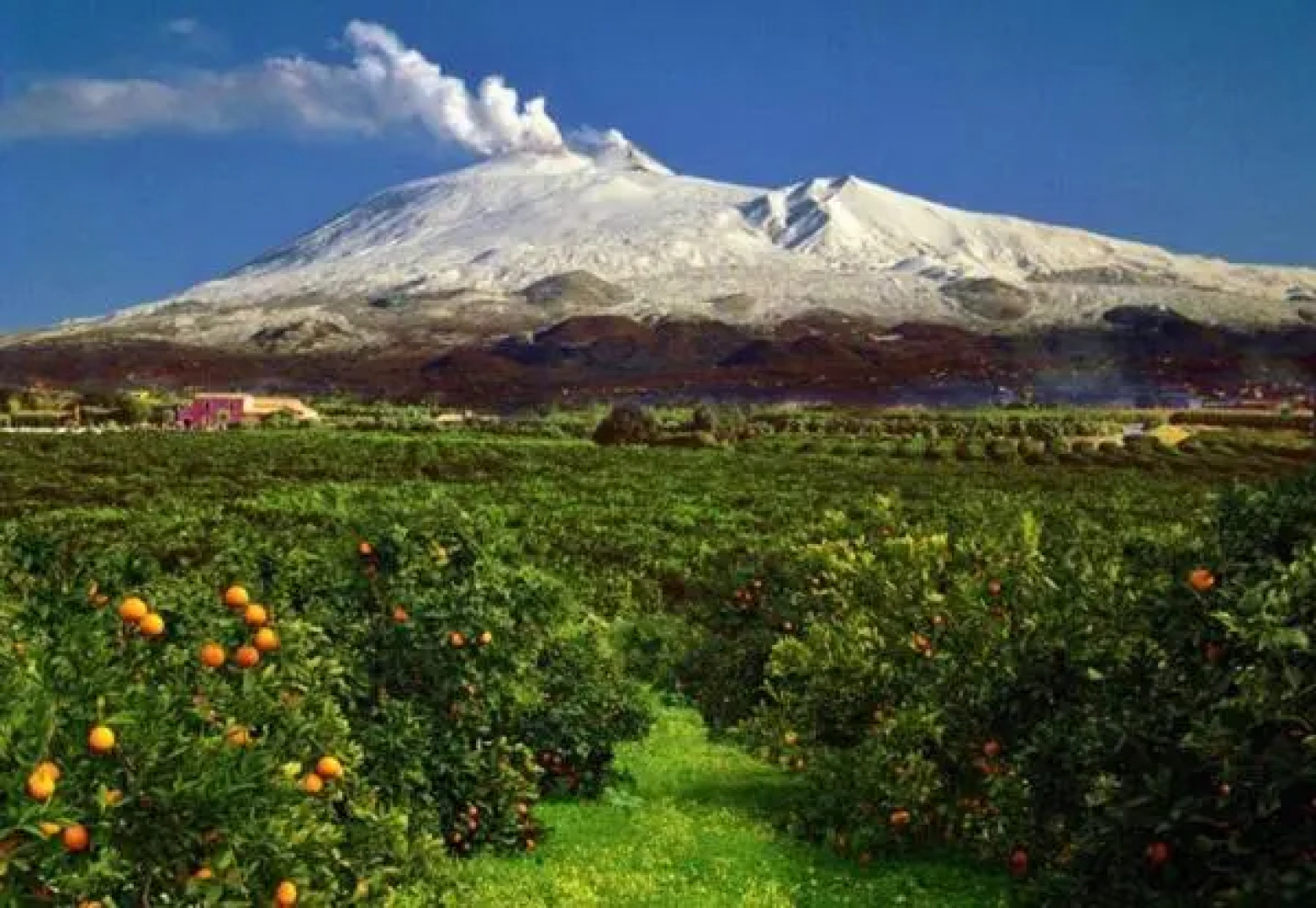 Corte Degli Aranci House