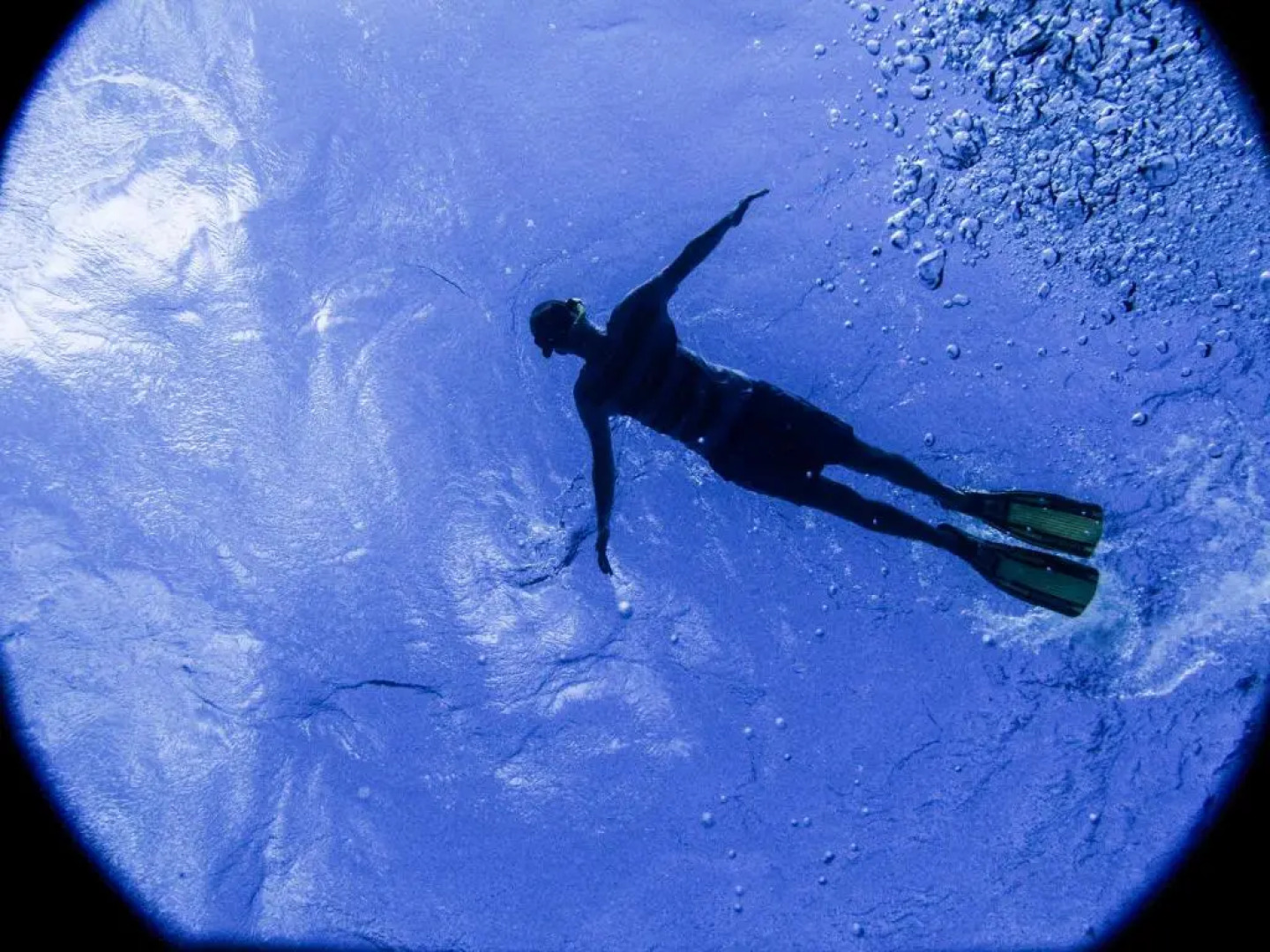 Gecko Nature Lodge & Swahili Divers