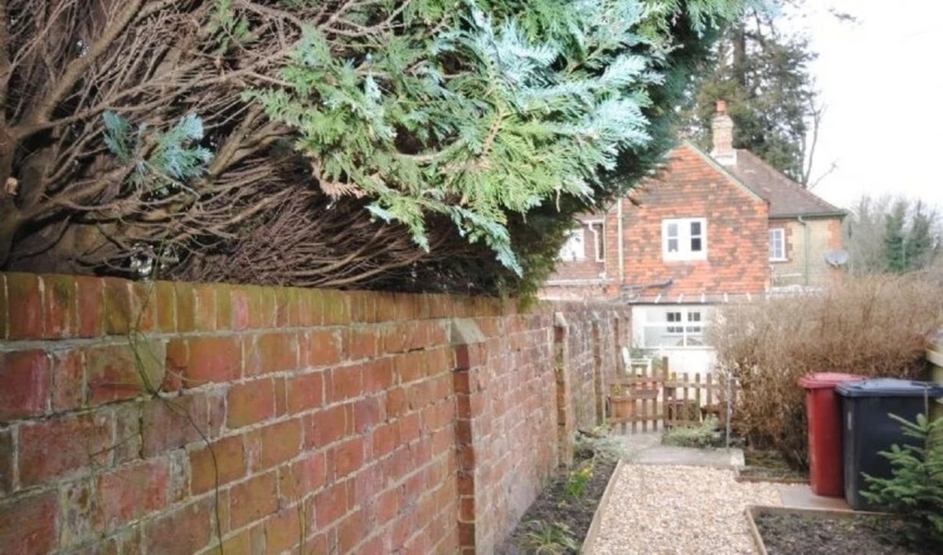 Guillards Oak, Midhurst 399980