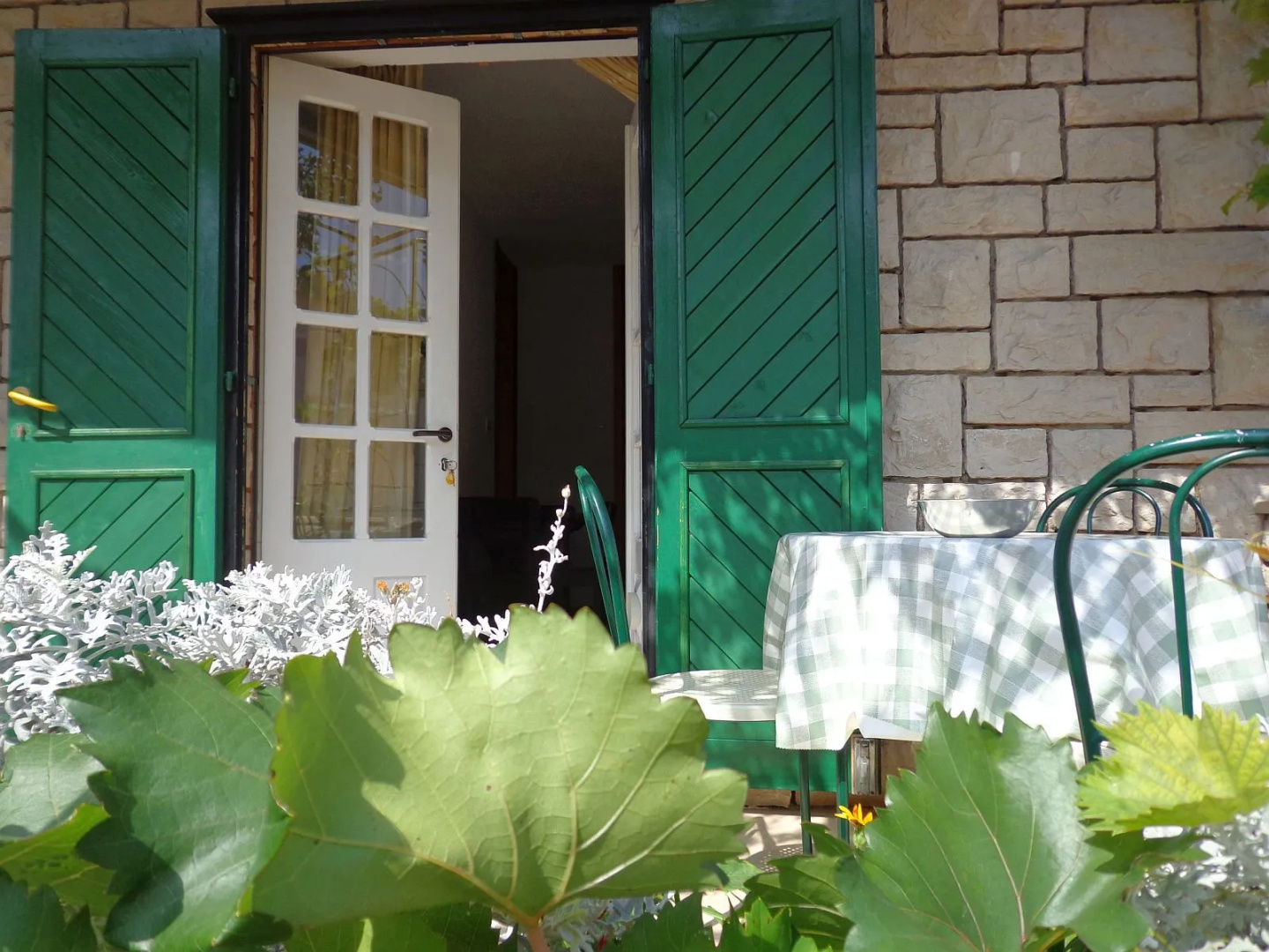 Apartment Brane - 150m from sea: A1 Bol, Island Brac