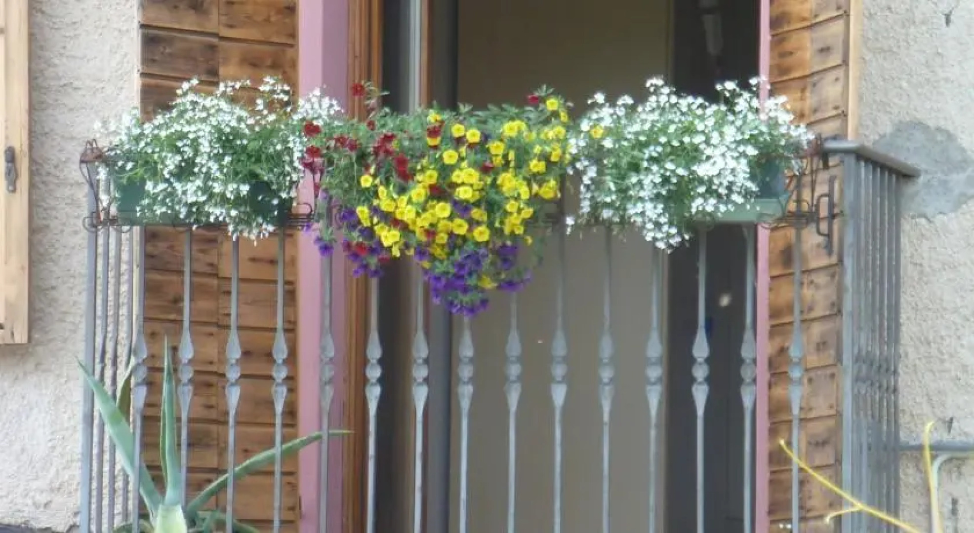 B&B Dolomiti Bellunesi