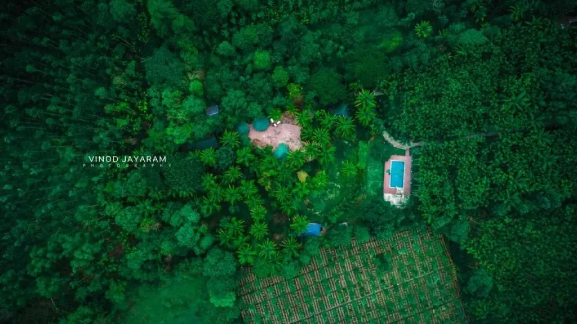 Staymaker Coorg Anekad Resort