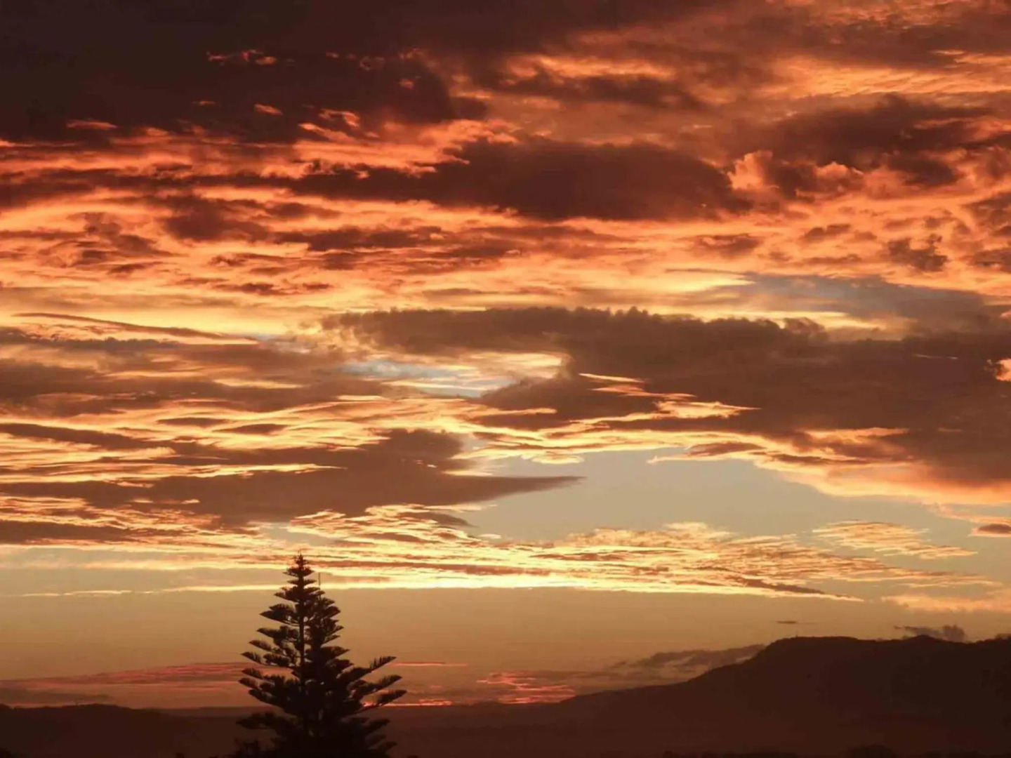 PINKOS Gerroa 4pm check out Sundays