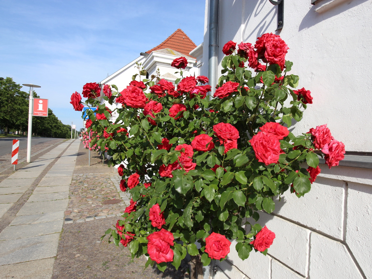 Parkhotel Putbus(Adults Only)