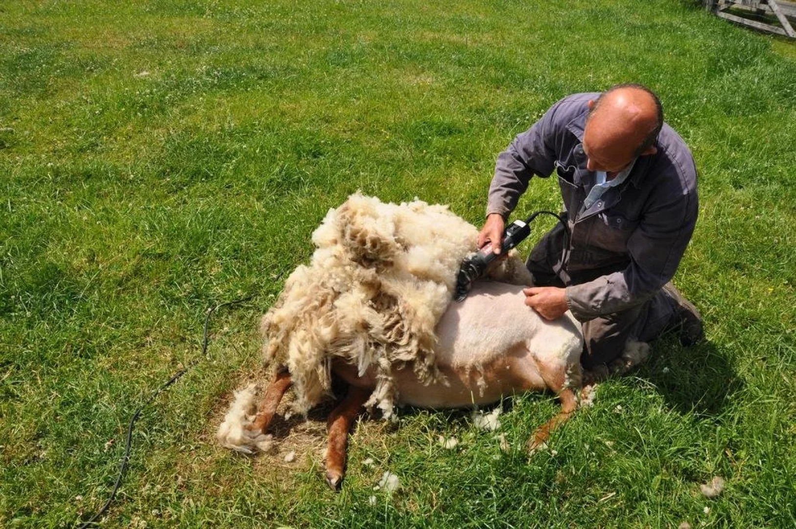 B&B t Verloren Schaap