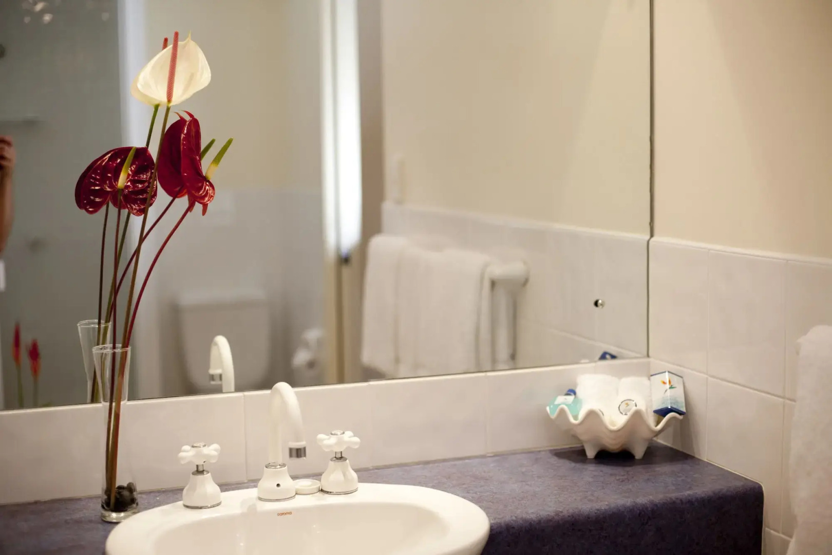 Freestyle Resort Port Douglas