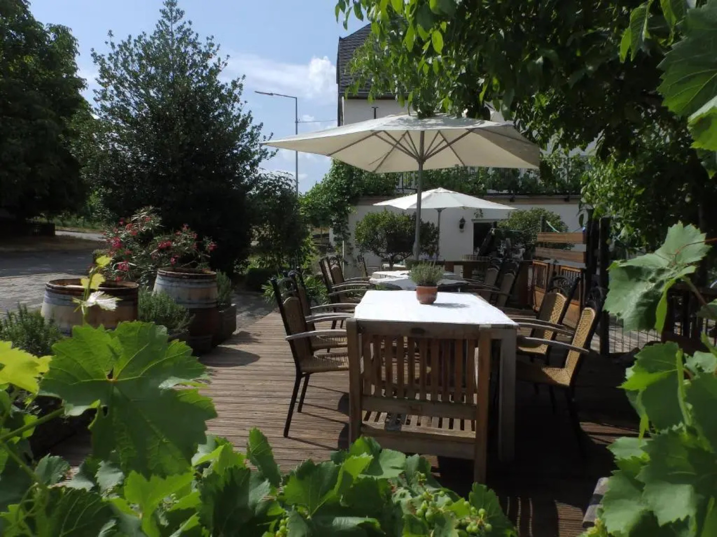 Ferienweingut Matthias Löwen