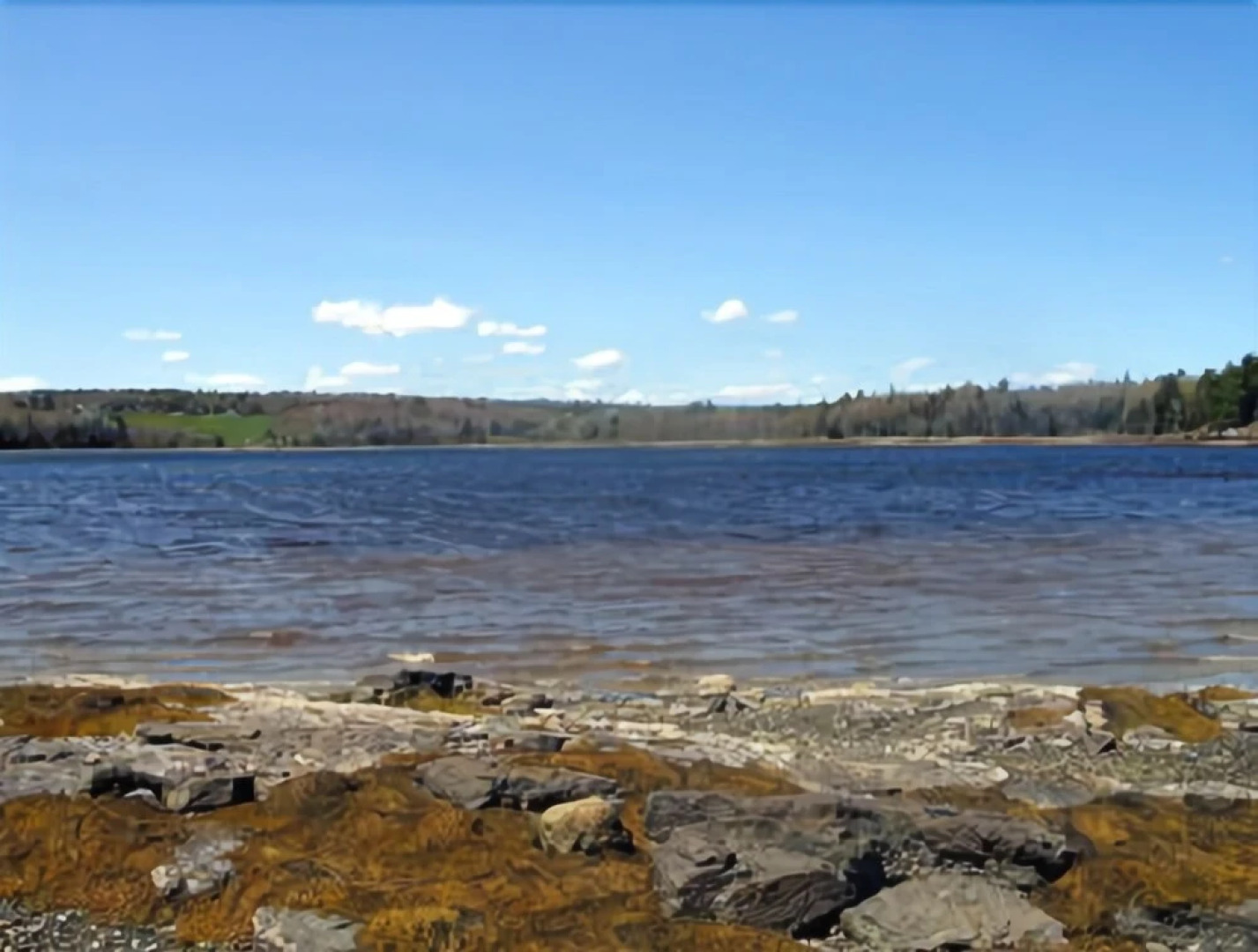 Coves End Surry - Three Bedroom Home with Hot Tub