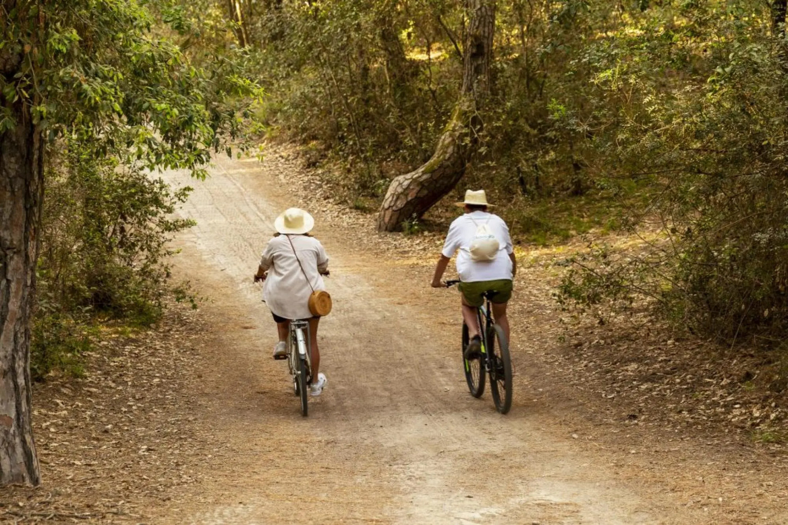 Comfort Lodge Rocchette