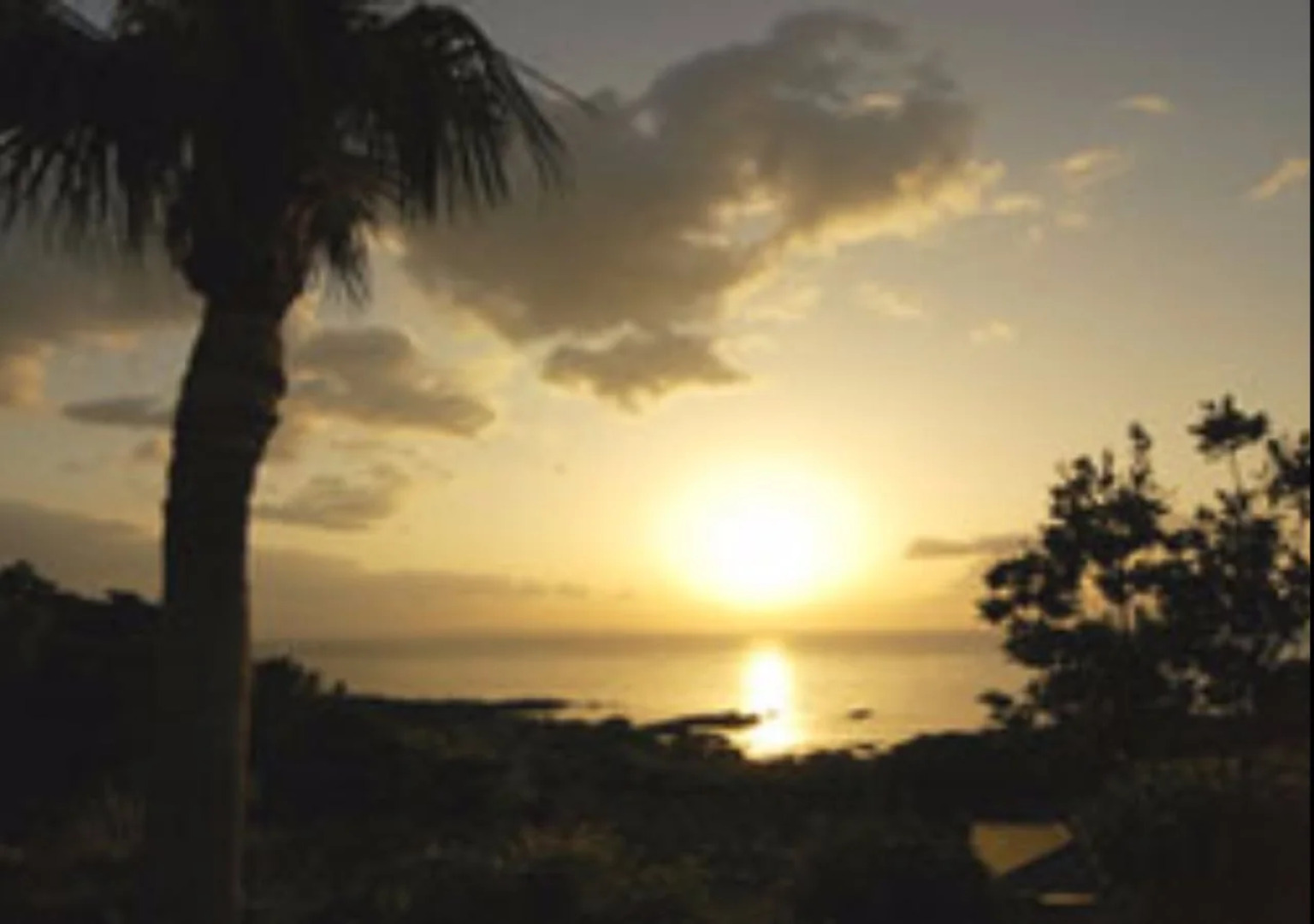 Yakushima Green Hotel